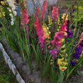 Отзыв о Гаршинка гипермаркет садовых растений: Лучший интернет-магазин