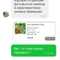 Веточка за 600 рублей